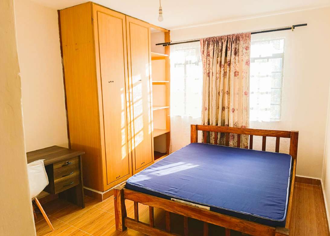 Ensiute Standard Size 01